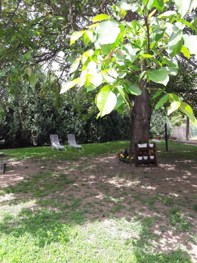 Guesthouse Kohari Egerszalók Екстериор снимка